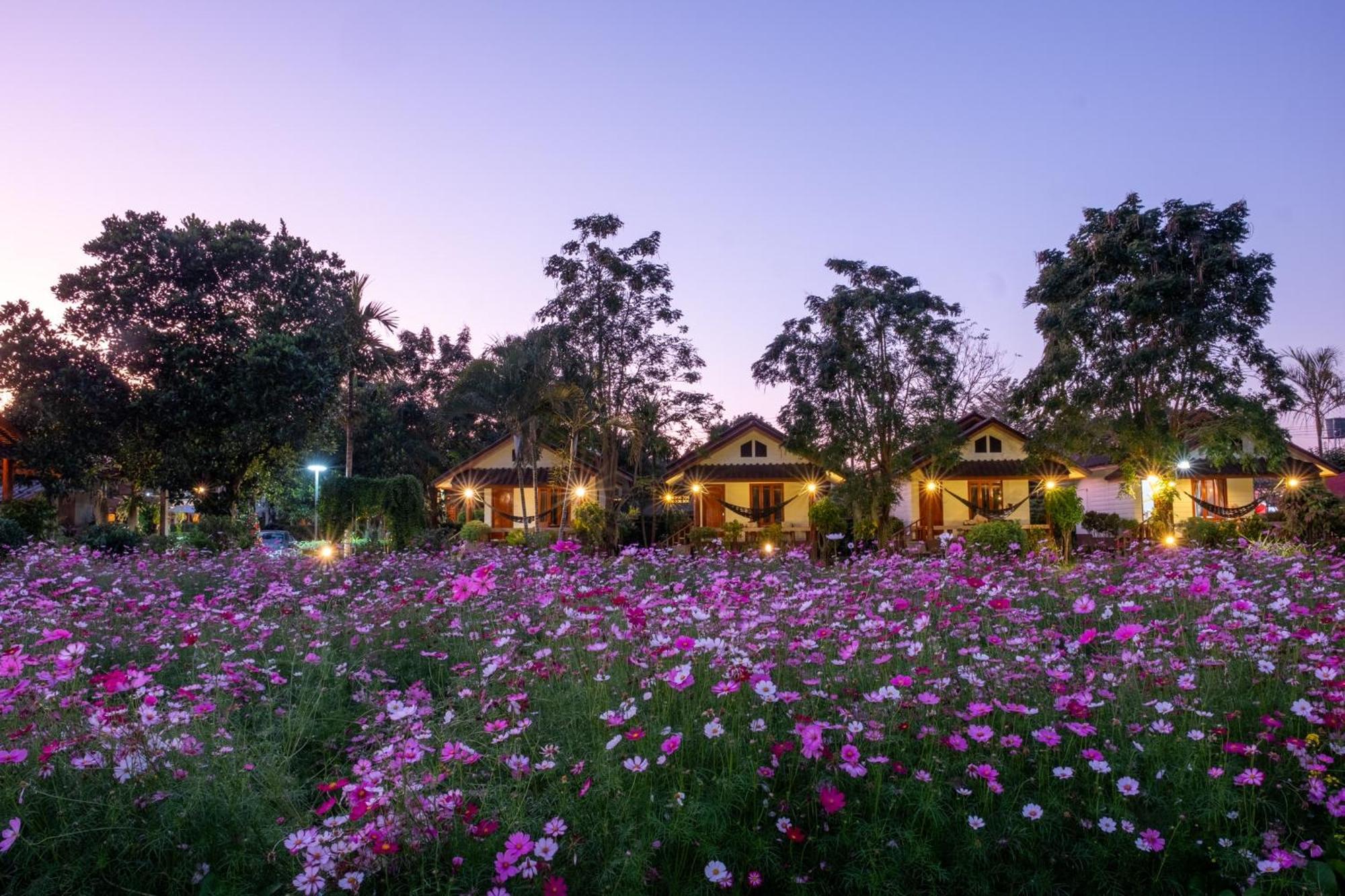The Nest House Otel Pai Dış mekan fotoğraf