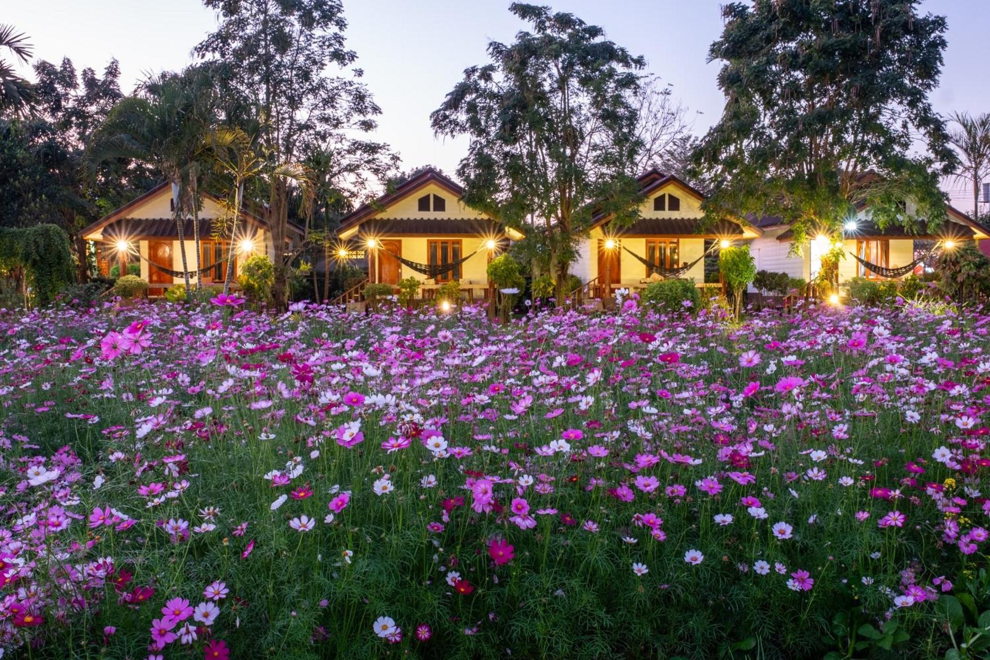 The Nest House Otel Pai Dış mekan fotoğraf