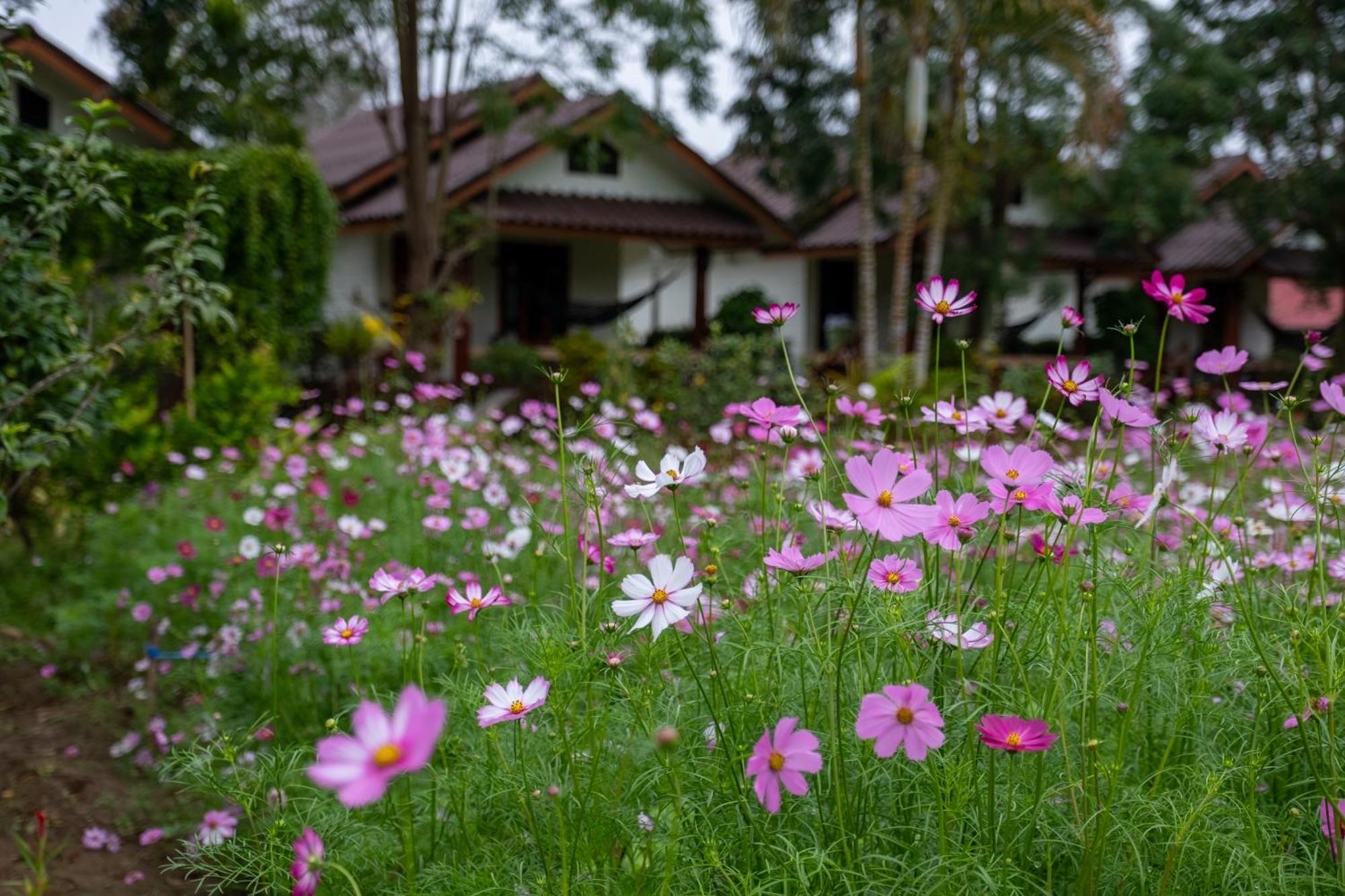 The Nest House Otel Pai Dış mekan fotoğraf