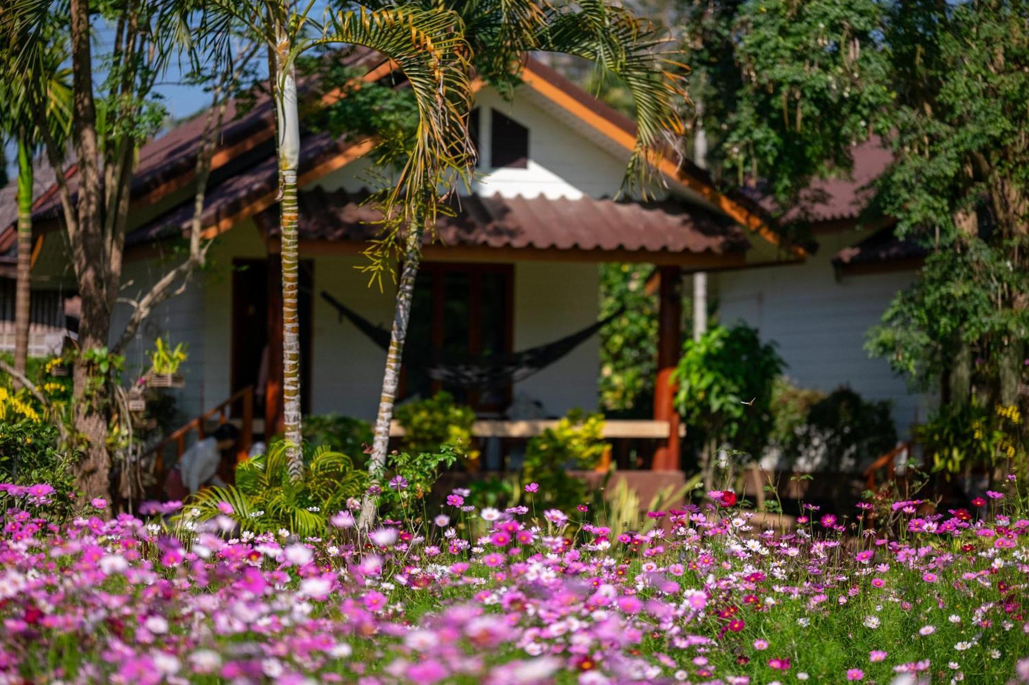 The Nest House Otel Pai Dış mekan fotoğraf