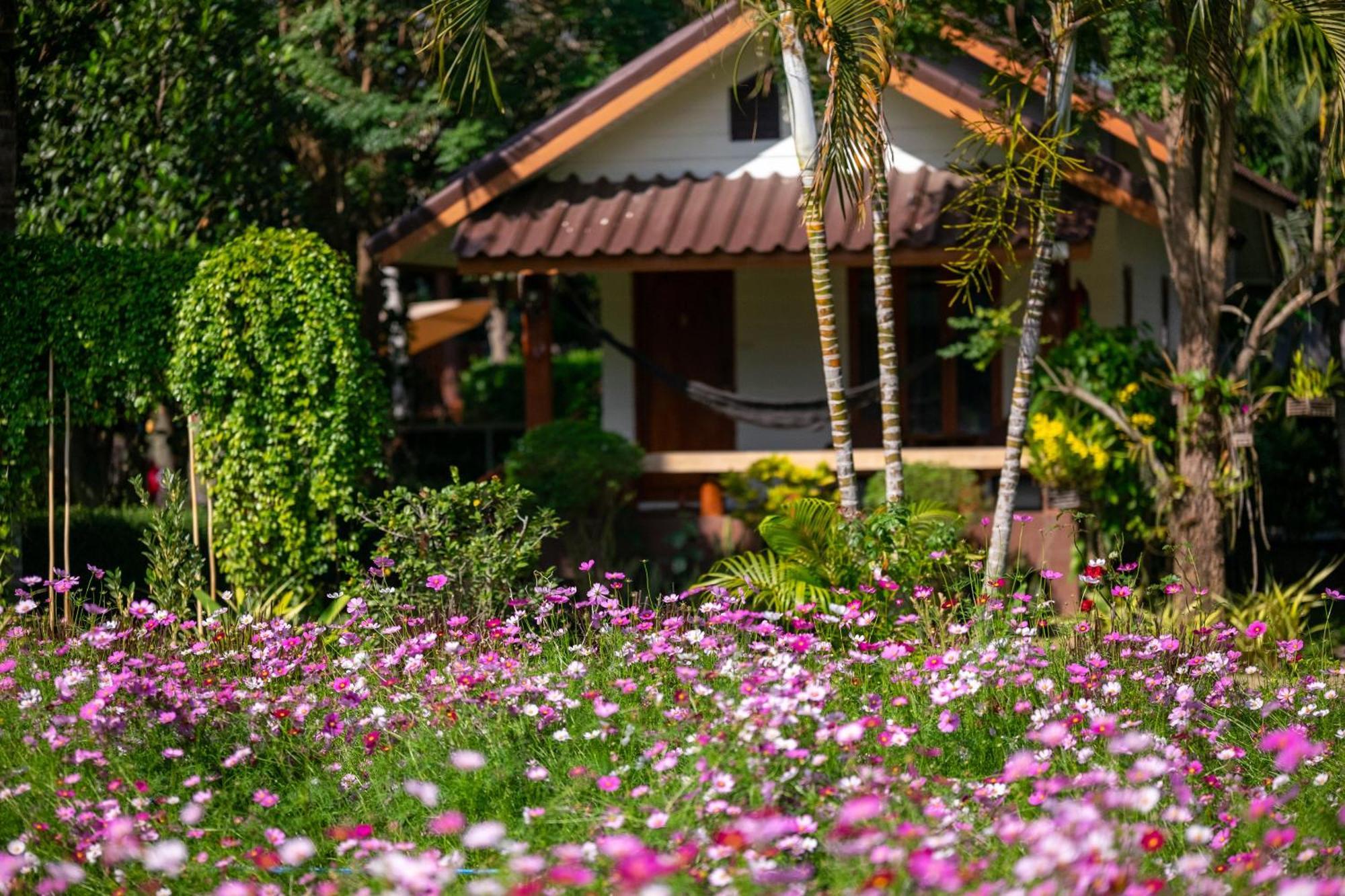 The Nest House Otel Pai Dış mekan fotoğraf